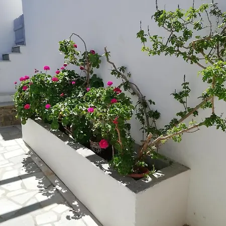 Poseidonio Of Paros * Alikí